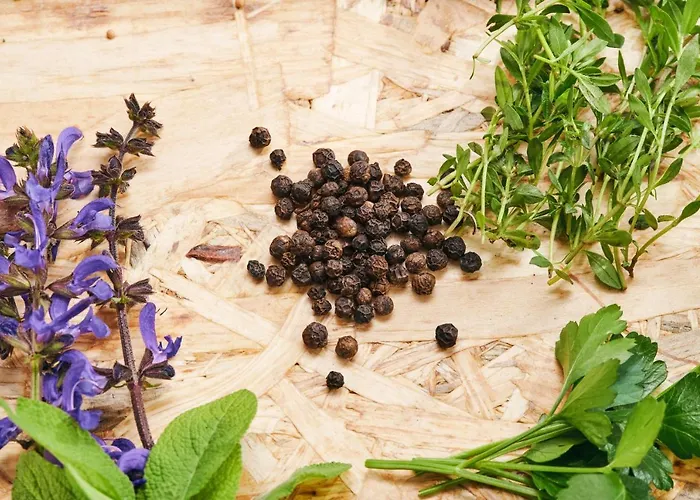 & Restaurant Ostarija Hotel