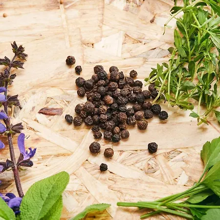 & Restaurant Ostarija Hotel