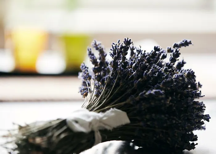 & Restaurant Ostarija 3*